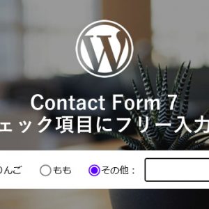 Contact Form 7 最後のチェック項目にフリー入力欄を追加する方法