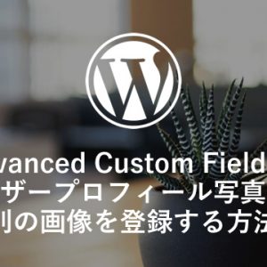 【ACF】ユーザープロフィール写真とは別の画像を登録する方法