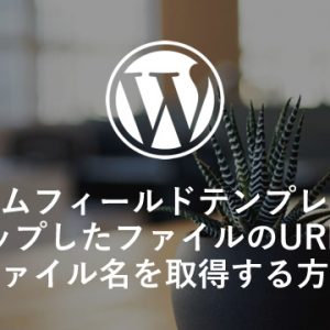 カスタムフィールドテンプレートでアップしたファイルのURLとファイル名を取得する方法